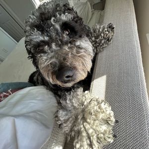 Meet your Posher, Anna